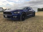Ford Mustang GT on HRE Wheels (FF04) 2018 года